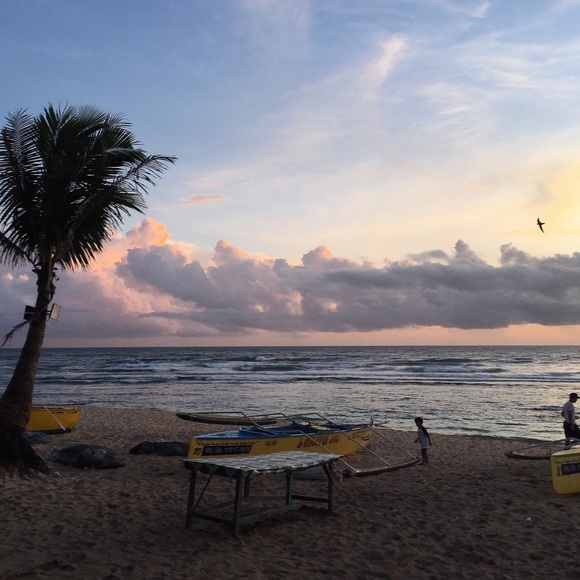 Meet your Posher, Michelle - Picture 1 of 1